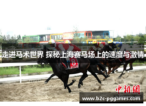 走进马术世界 探秘上海赛马场上的速度与激情